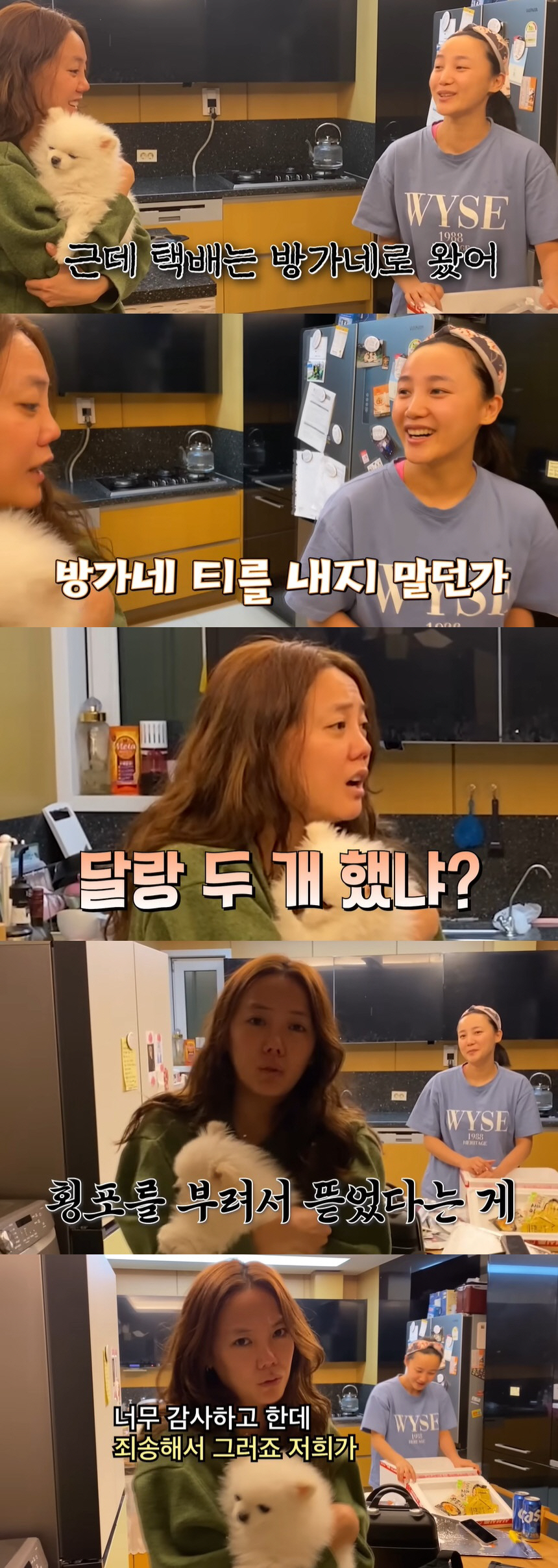 고은아·미르, 큰언니 대신 사과 "횡포 부려서 선물 뜯었다"