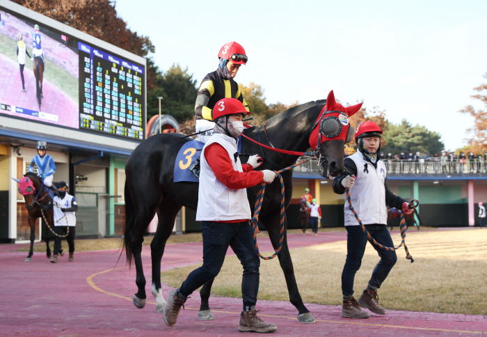 [경마]2023년 삼관경주의 서막… 30일'KRA컵 마일' 3세마의 치열…