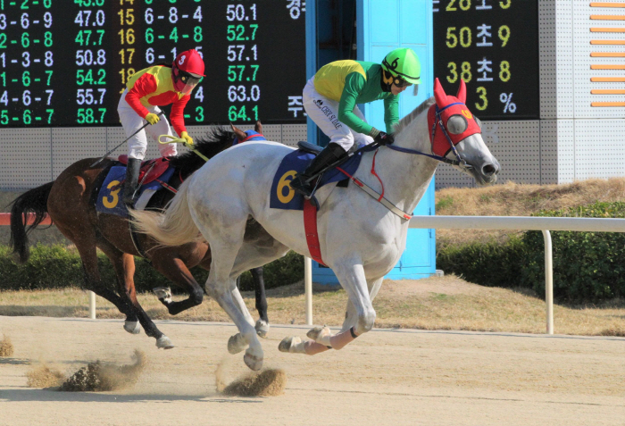 [경마]2023년 삼관경주의 서막… 30일'KRA컵 마일' 3세마의 치열…