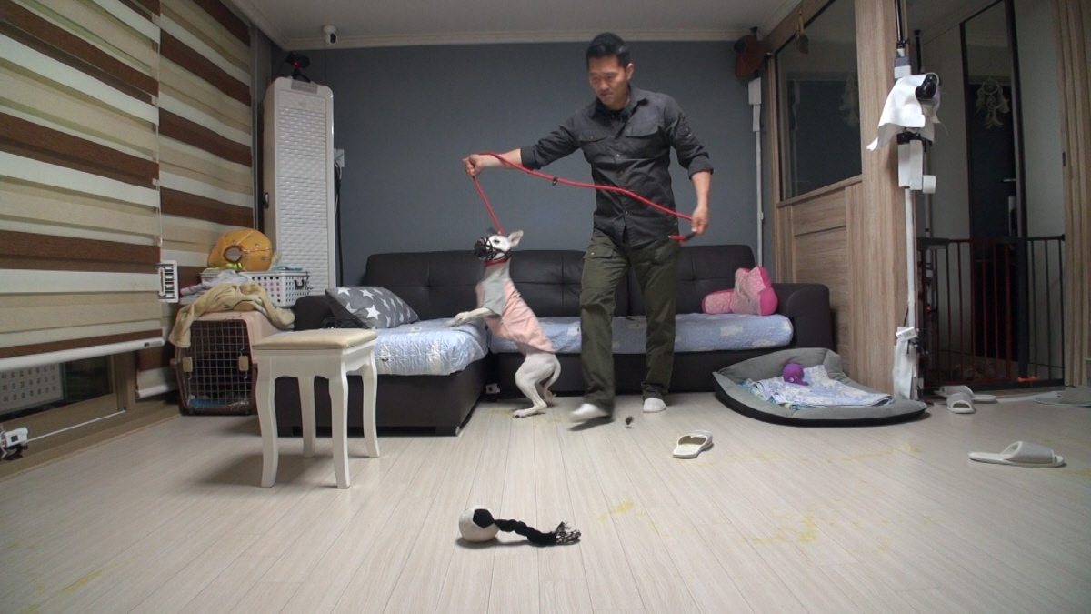 강형욱, 가족들 살점까지 뜯는 ’입질견‘ 등장에 '솔루션 불가' 시사('…