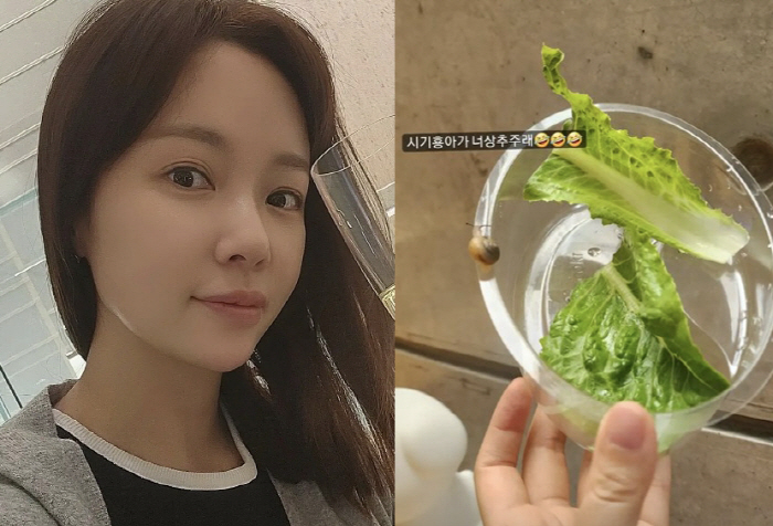 황정음♥이영돈, "새 식구가 왔어요"…화목한 가정 보여주는 '아들의 따뜻…