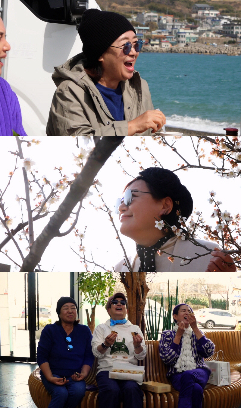 "칫솔 통째로 삼킨 환자, 응급실에 와" 충격…남궁인 교수, 의사 폭행사…