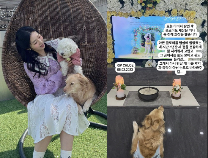 서동주 "아버지 발인 후 클로이도 세상 떠나...좀 전에 화장"