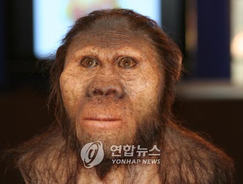 [연합뉴스 자료사진]