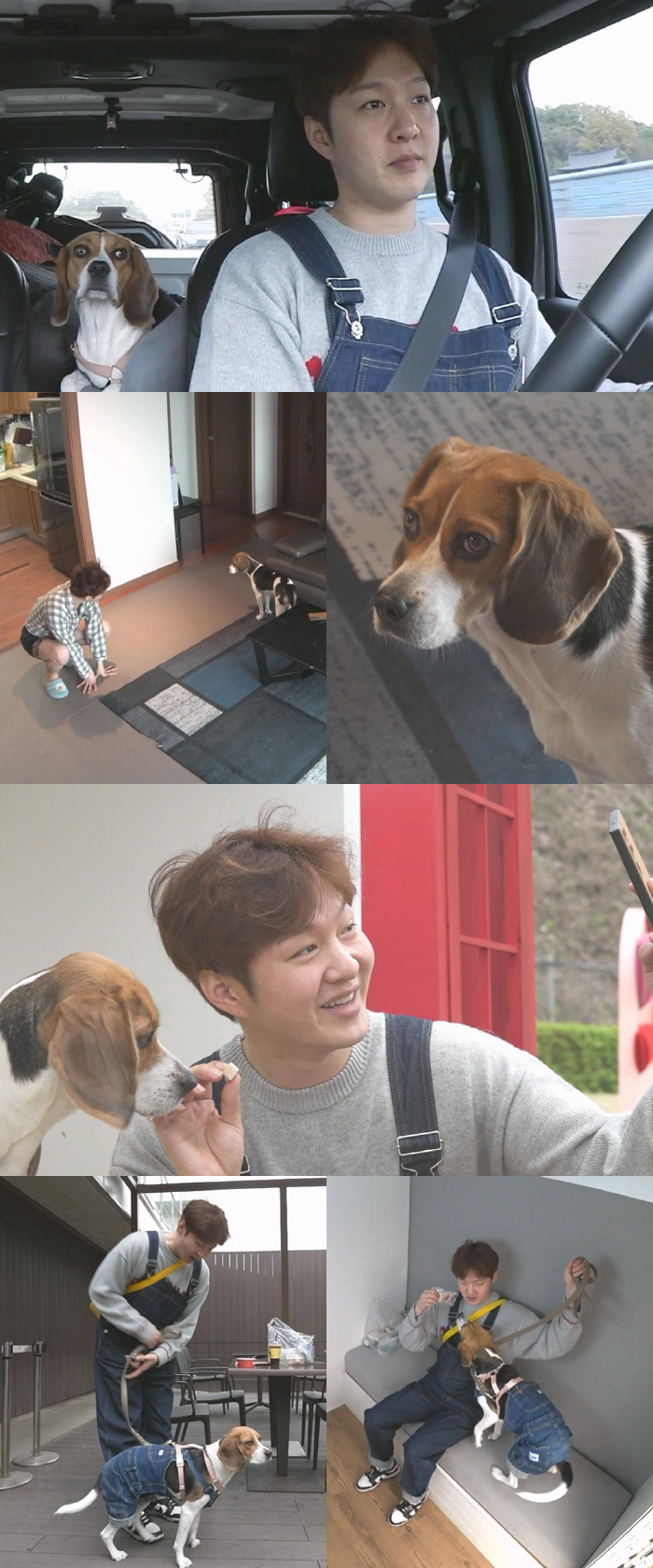 비투비 이창섭, '파워E' 반려견 구리와 인생네컷 찍다 좌절 "망했네" …
