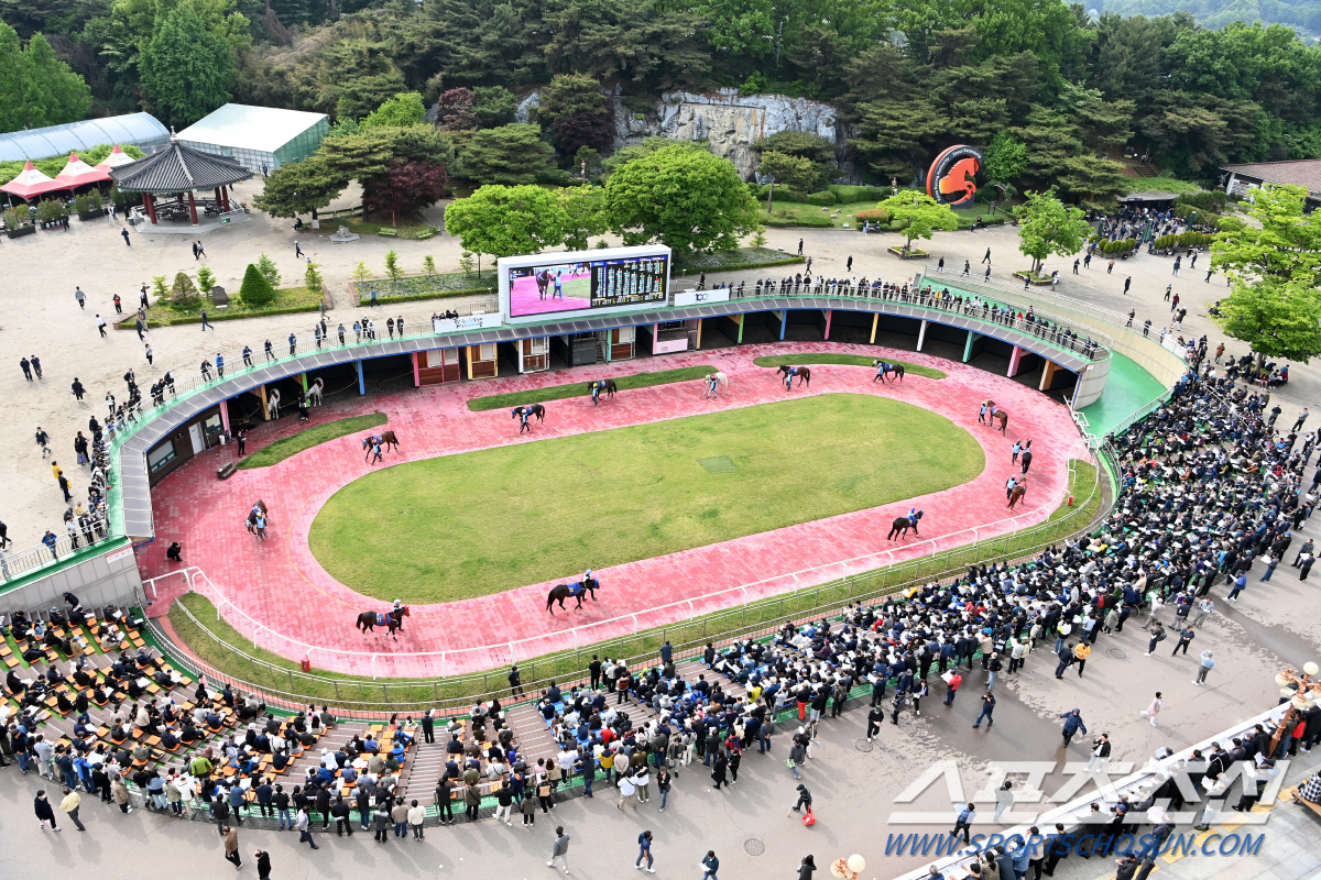 [경마]'유망주의 불꽃역전' 티즈바로우즈, 33회 스포츠조선배 대상경마 …