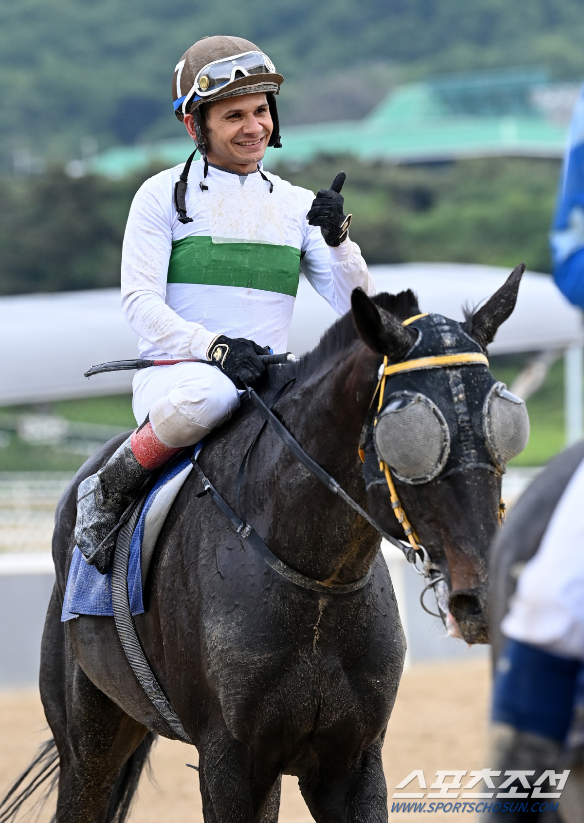 [경마]'유망주의 불꽃역전' 티즈바로우즈, 33회 스포츠조선배 대상경마 …