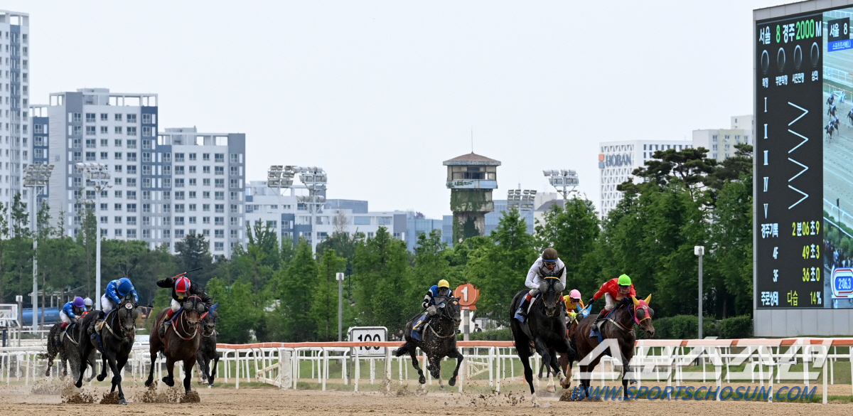 [경마]'유망주의 불꽃역전' 티즈바로우즈, 33회 스포츠조선배 대상경마 …
