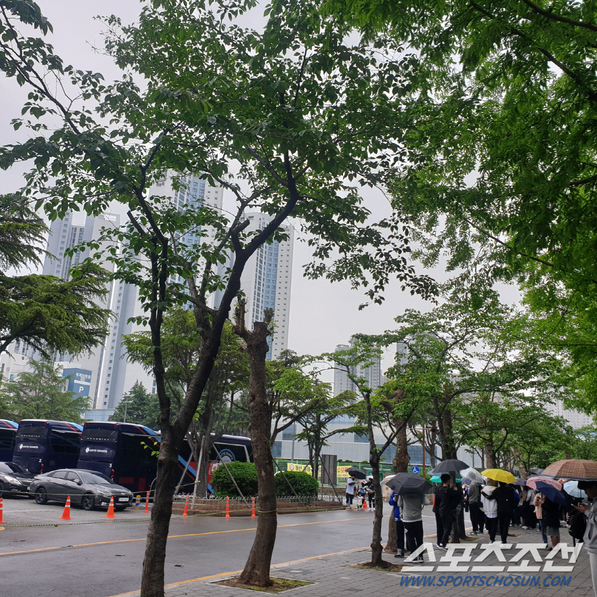 '전경기 매진도 가능했는데..' 비에 씻겨간 3억7천, 황금연휴 전 경기…