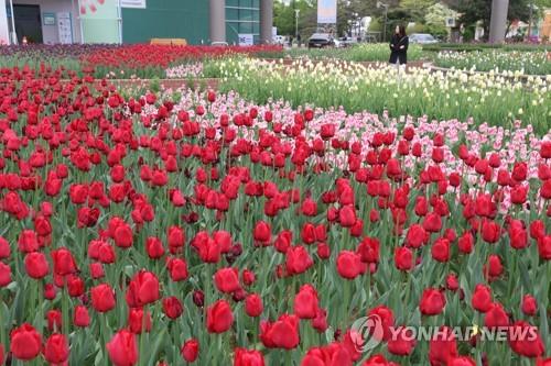 [연합뉴스 자료사진]