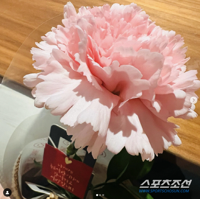 [SC이슈]이민정·김성령·이혜원 등 '스타들'도 부모였다! 자식들의 '정…