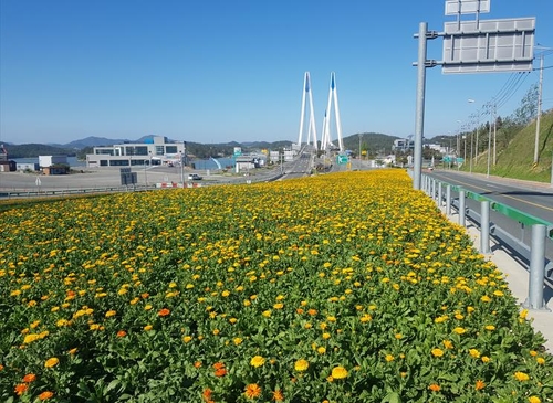 진도군, 꽃피는 쾌적하고 아름다운 경관 조성