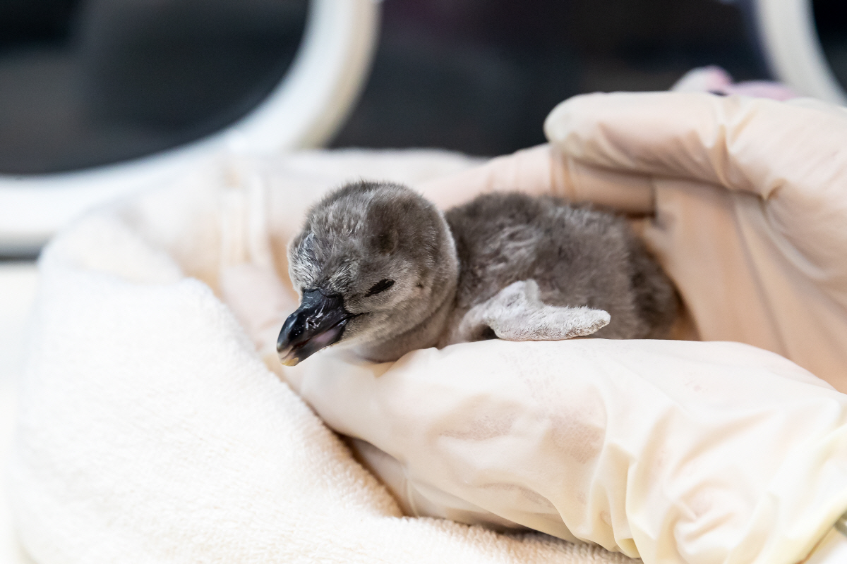 '뜻깊은 해양체험' 롯데월드 아쿠아리움, 엑스포 해양관에는 특별한 게 있…