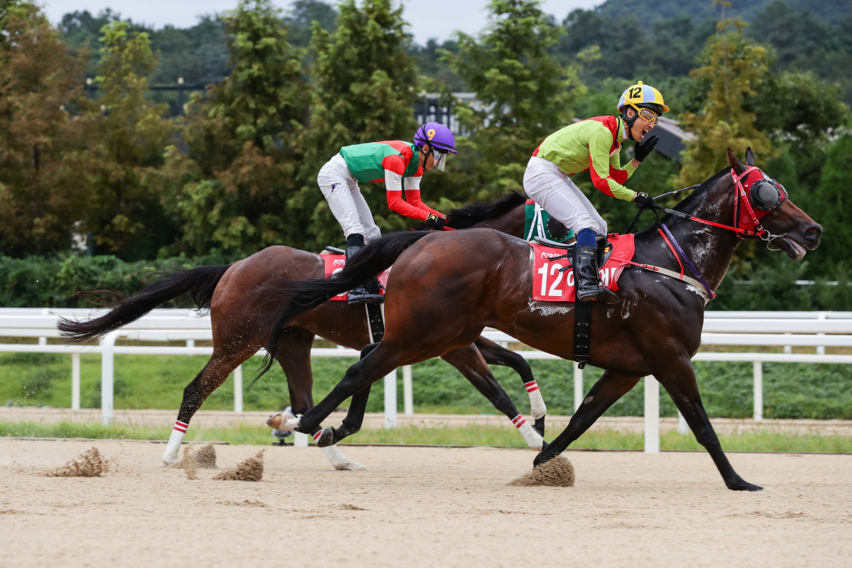 [경마]14일, 렛츠런파크 서울에서 대상·특별경주 줄줄이 … 분위기 후끈