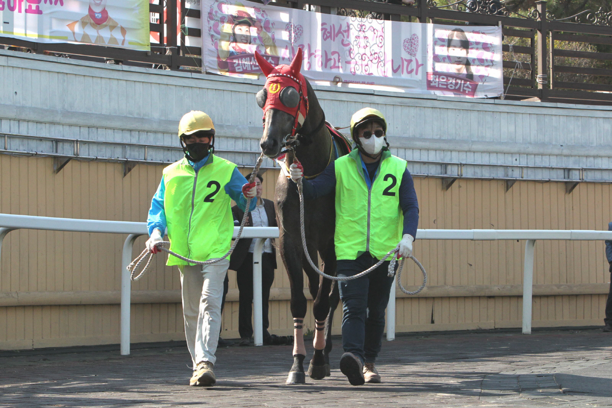 [경마]14일, 렛츠런파크 서울에서 대상·특별경주 줄줄이 … 분위기 후끈