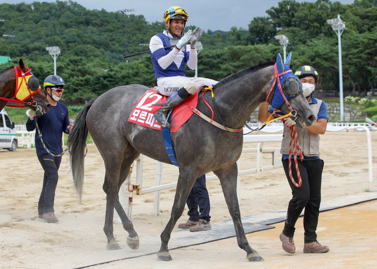 [경마]14일, 렛츠런파크 서울에서 대상·특별경주 줄줄이 … 분위기 후끈