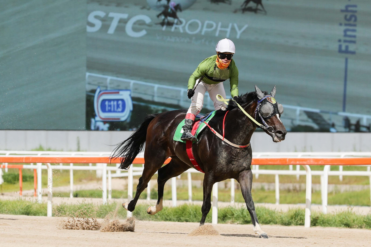 [경마]14일, 렛츠런파크 서울에서 대상·특별경주 줄줄이 … 분위기 후끈