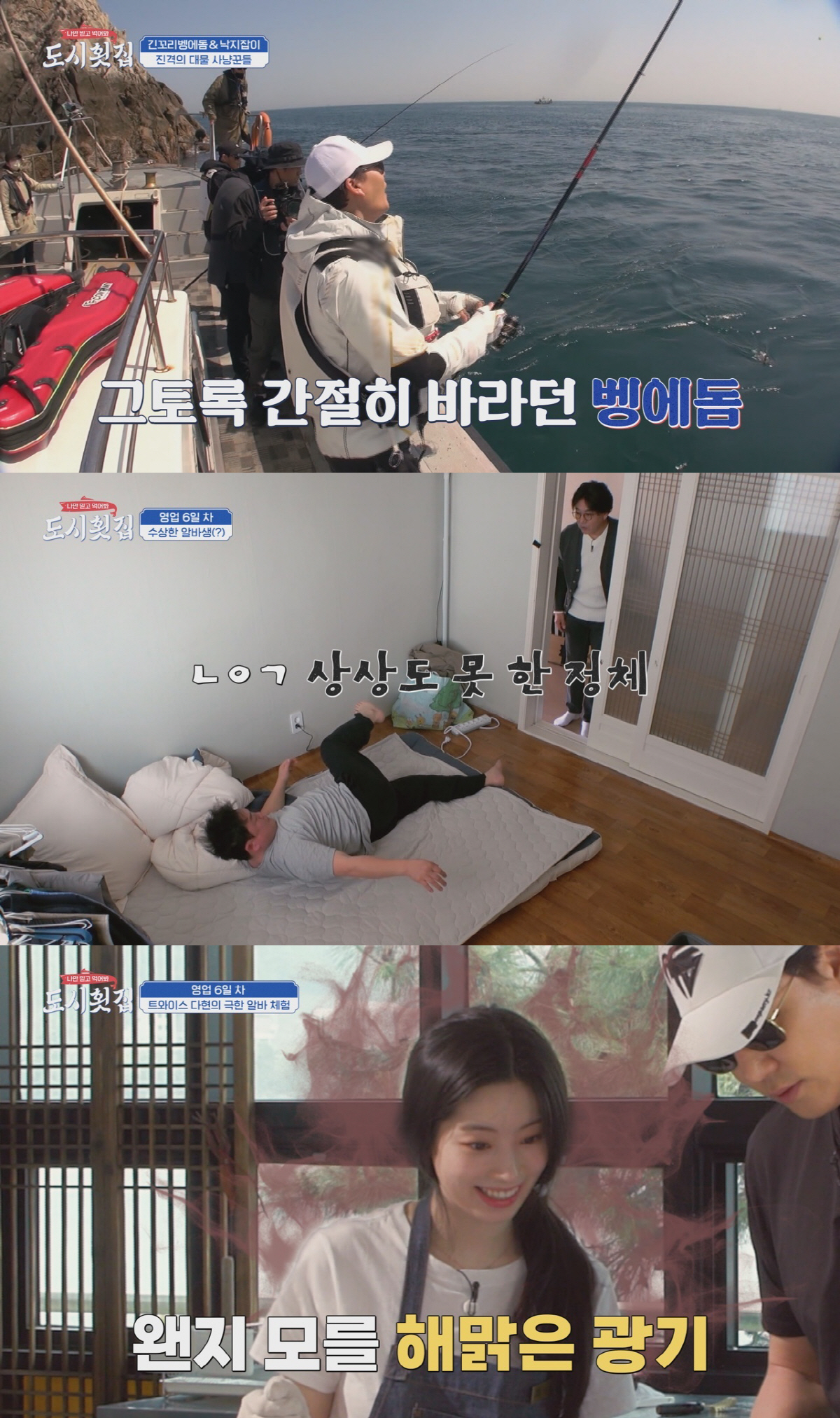 '형제라면' '도시횟집' '장사천재' 대세 인정…자영업 많은 韓, 음식 …