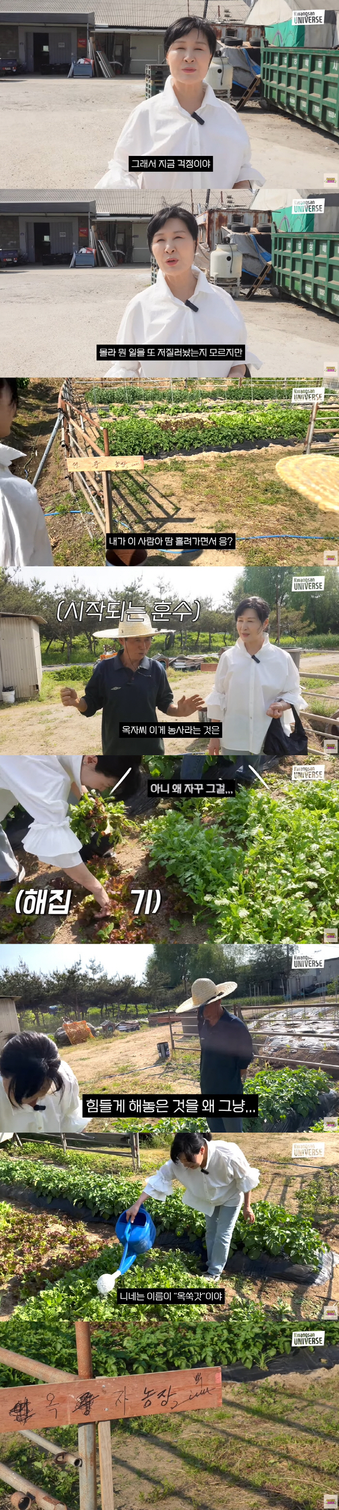 김승현母, 남편 또 일 저질렀나 '걱정'...20평 농장 소유 "이름은 …