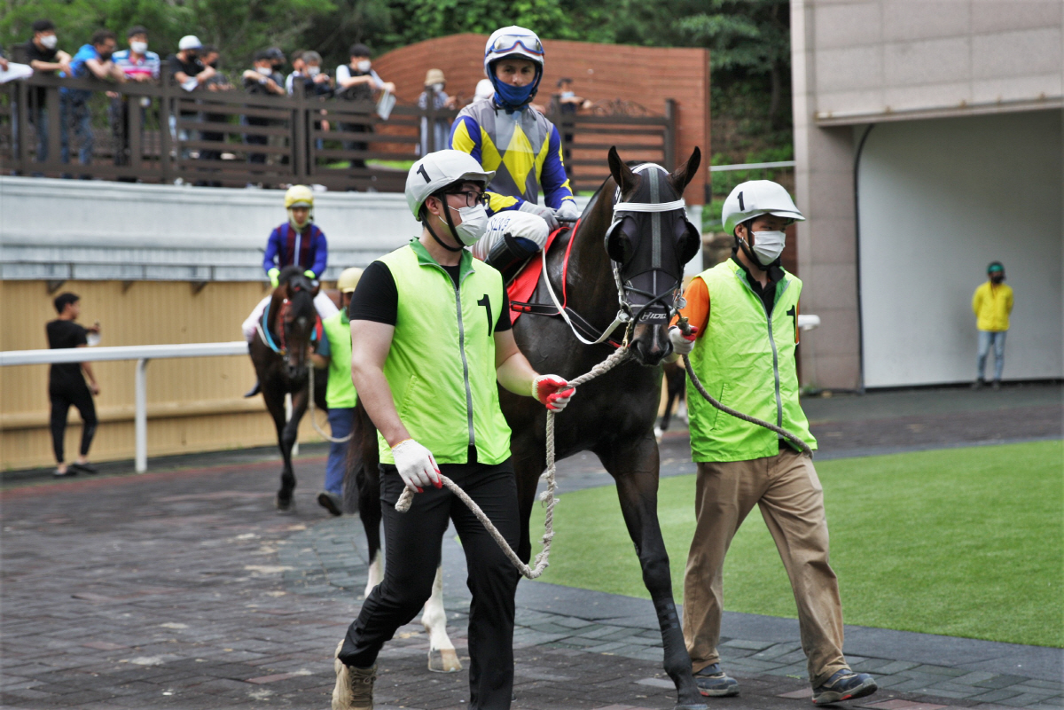 [경마]제22회 YTN배 경주 시행, '과거, 미래, 현재' 장거리 최강…