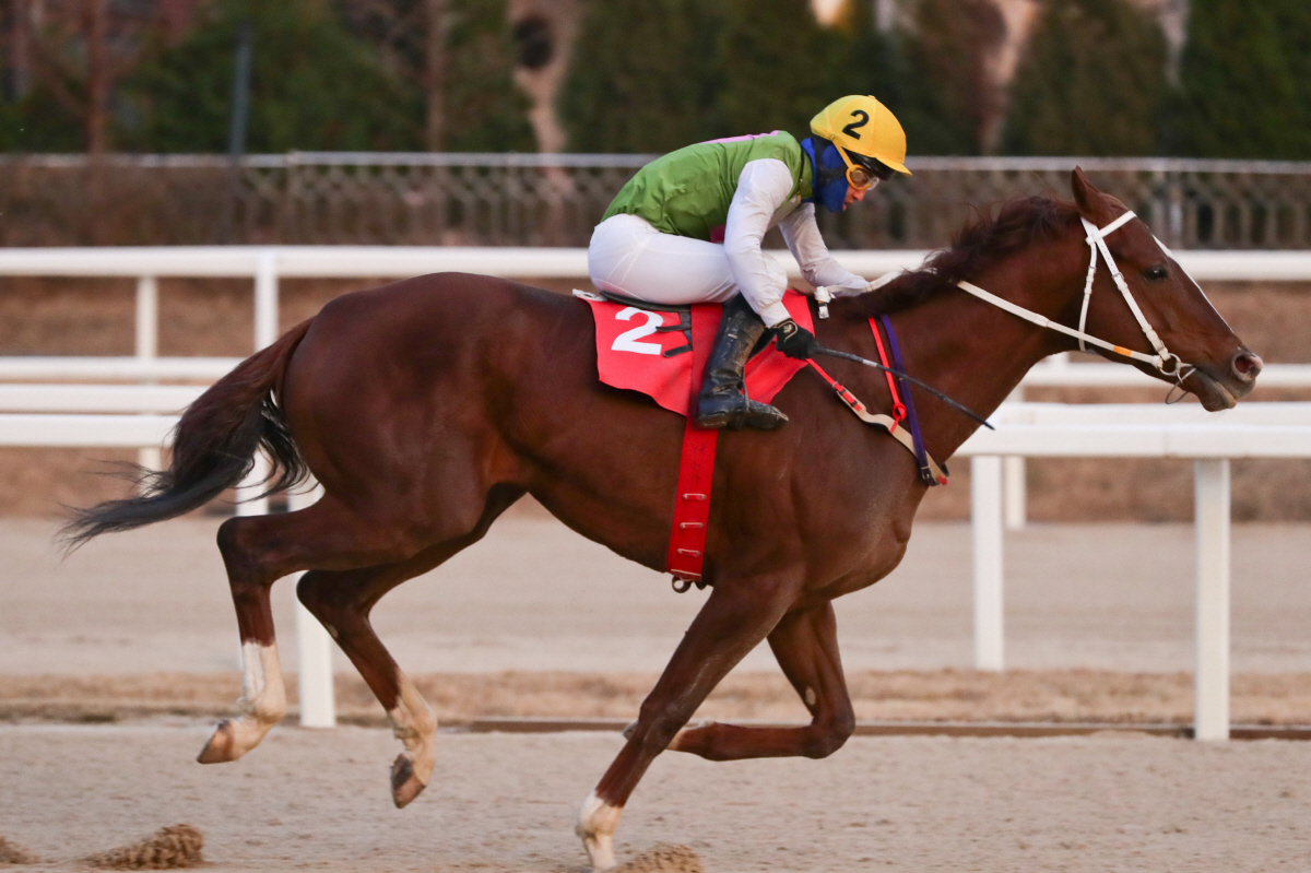 [경마]제22회 YTN배 경주 시행, '과거, 미래, 현재' 장거리 최강…