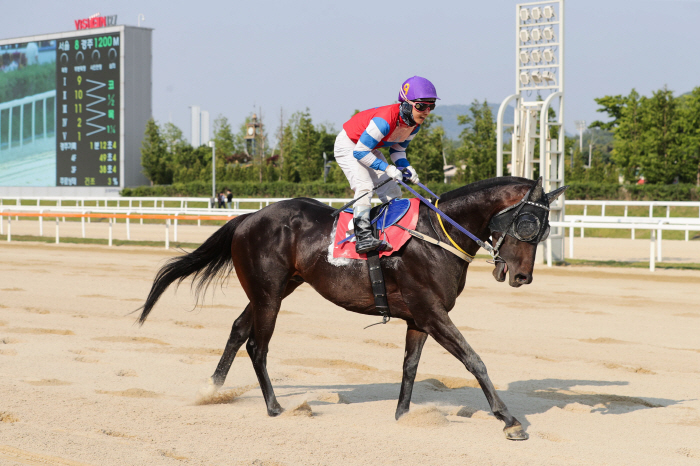 [경마]제22회 YTN배 경주 시행, '과거, 미래, 현재' 장거리 최강…