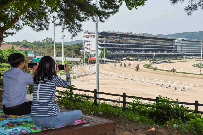 [경마]렛츠런파크 서울, 나만 알고 싶은 힐링 스팟 소개