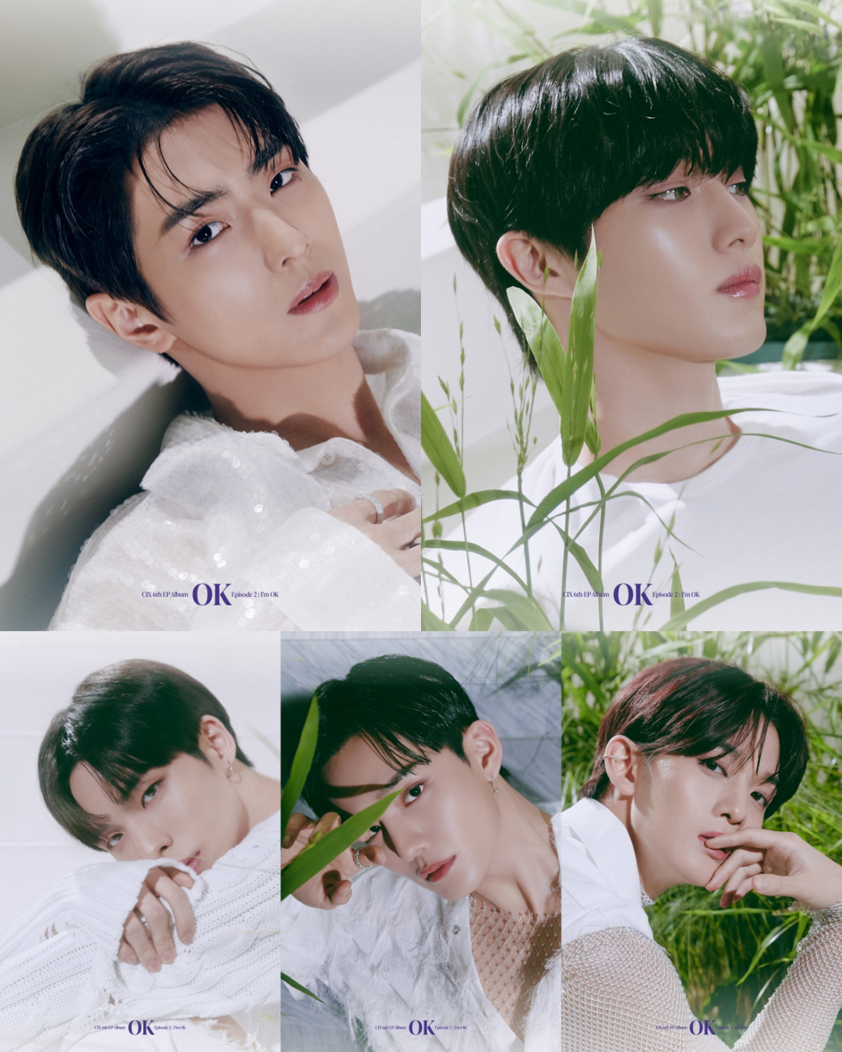 CIX, 신보 콘셉트 포토 공개…신비+청초+유니크 분위기