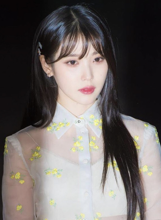 god 박준형, 아이유에 "꼬맹쓰" 댓글 남겼다가 악플 피해 "추해요 아…