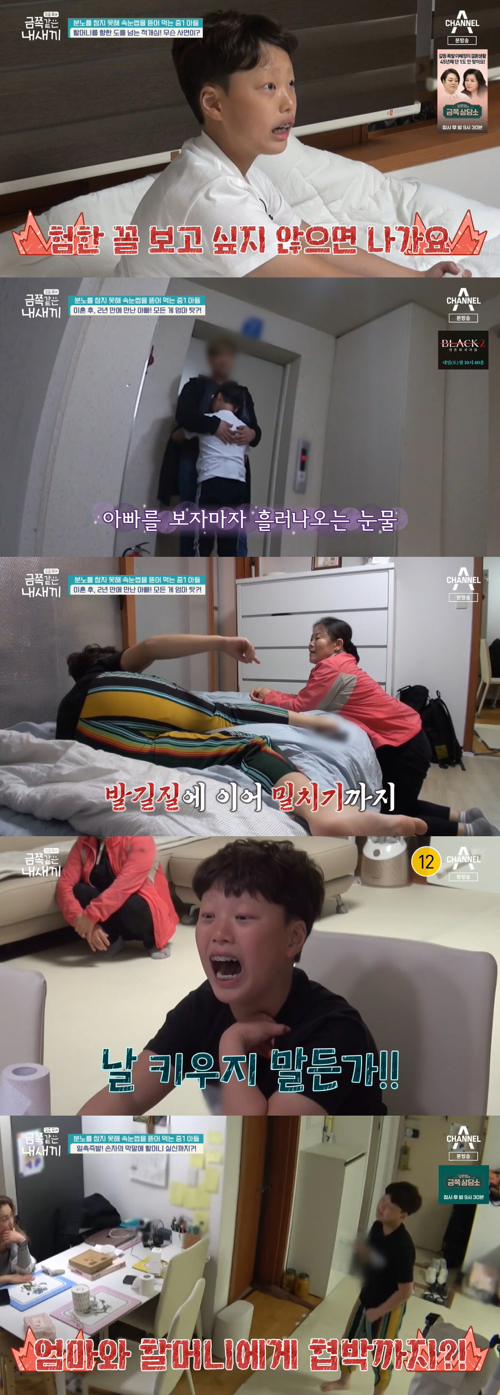 속눈썹 뜯어먹는 14세 子, 폭언해 외할머니 실신 "유기 공포 건드려지면…