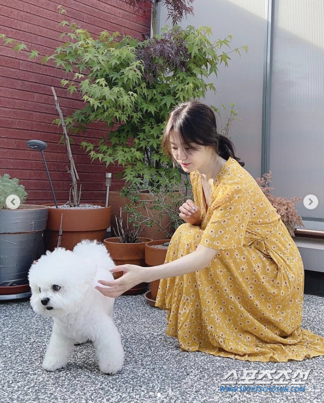 송혜교, '자백의 대가' 출연 불발에도 외모는 '넘사벽'…자연광 '노메이…