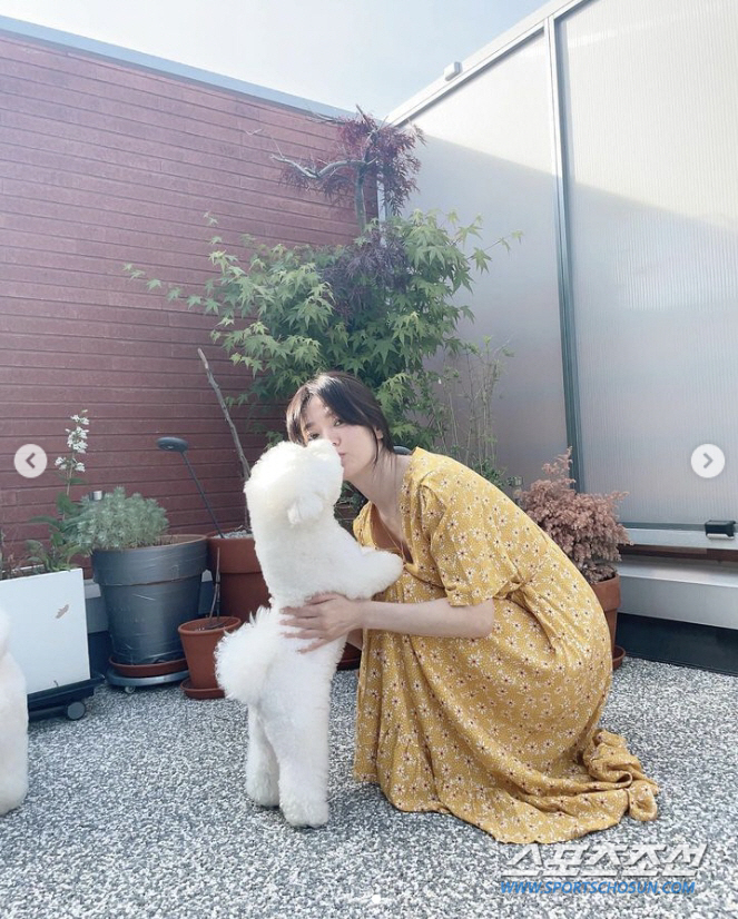 송혜교, '자백의 대가' 출연 불발에도 외모는 '넘사벽'…자연광 '노메이…