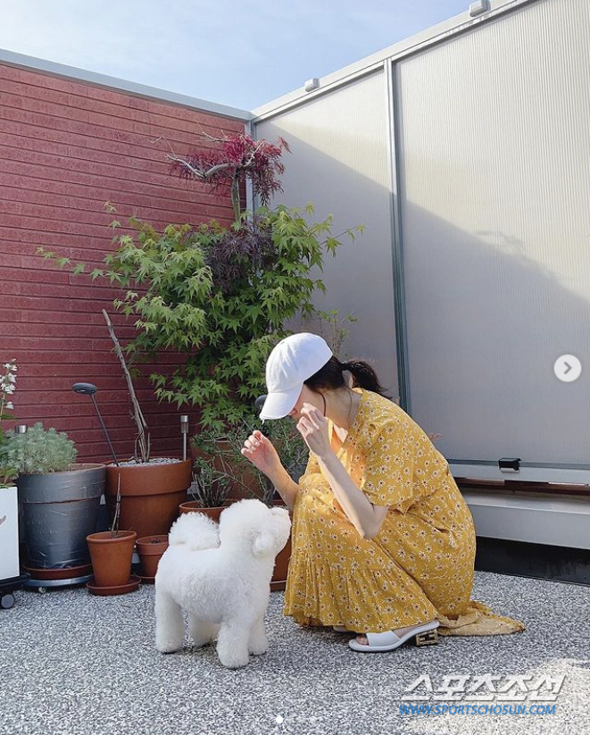 송혜교, '자백의 대가' 출연 불발에도 외모는 '넘사벽'…자연광 '노메이…