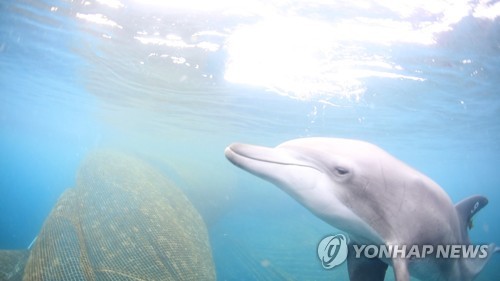 [해양수산부 제공. 재판매 및 DB 금지] photo@yna.co.kr