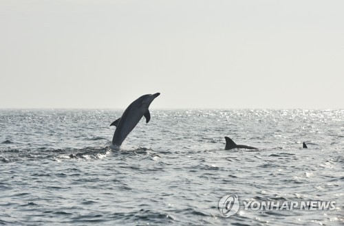 [해수부 제공. 재판매 및 DB 금지] photo@yna.co.kr