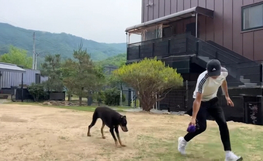 배정남, '전신마비 판정' 반려견 기적의 재활..뛰어다닐 정도 "정성 통…