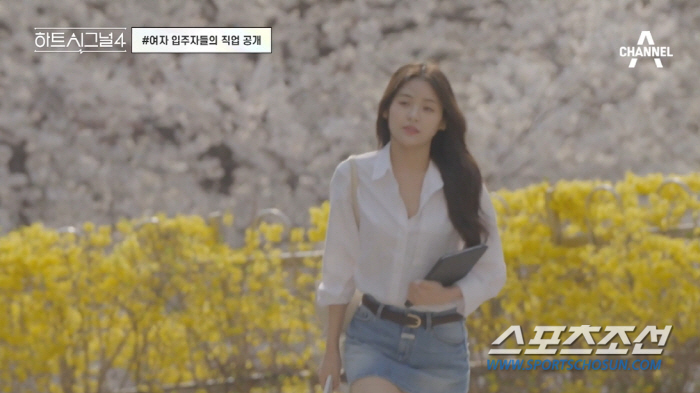 의사, 변호사, 회사 대표까지…'하트시그널4', 외모 만큼 가슴 뛰게 하…