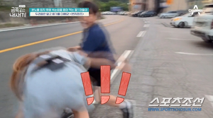 [종합]대낮 길 한복판서 엄마 '머리채' 잡고 내동댕이 '중1' 금쪽이에…