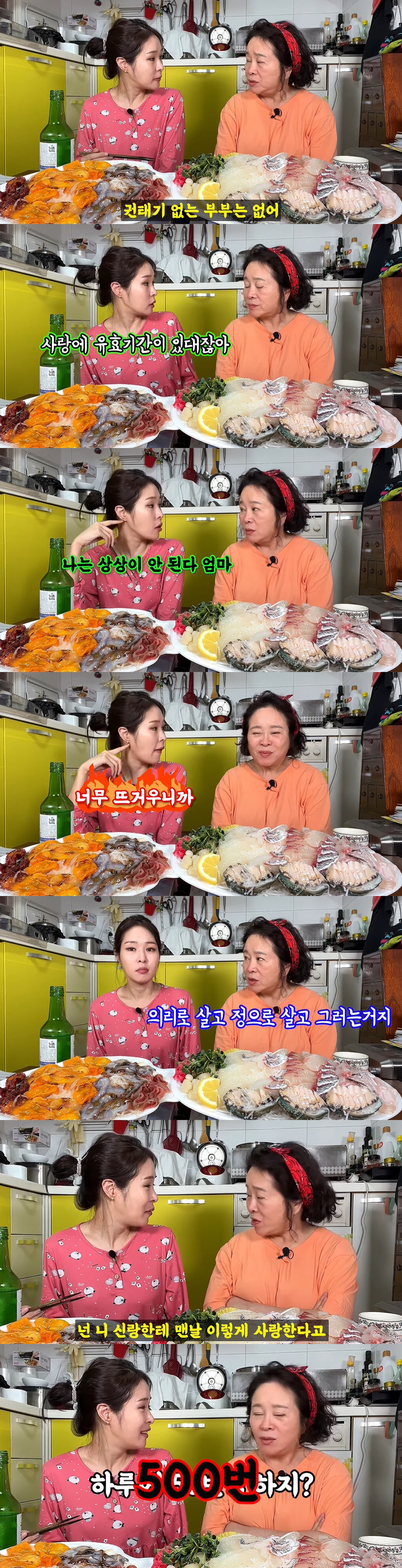미자 母 전성애 "사위 김태현에 X팔려 죽는 줄...코 고는 거 들켜" …