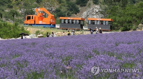 [연합뉴스 자료사진]