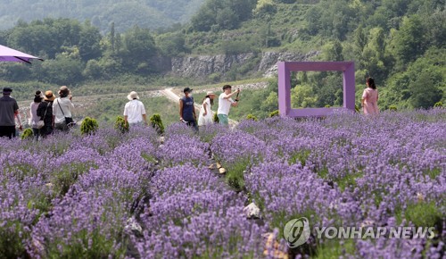 [연합뉴스 자료사진]