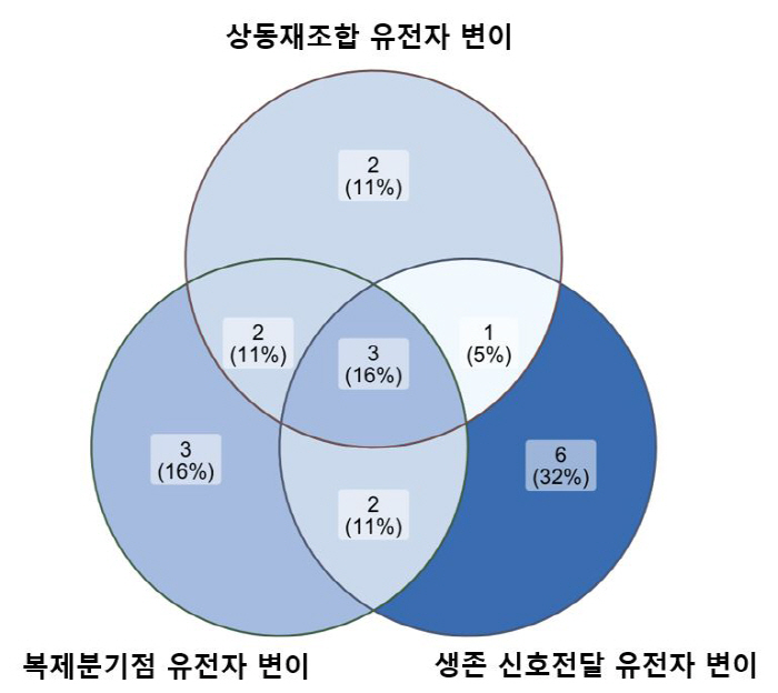 "혈액 검사로 난소암 표적치료제 내성 기전 확인"