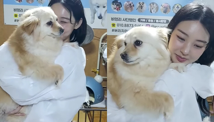 노제, 자숙 중 유기견 봉사→입양 미담…보호소 측 "진실성 보였다"