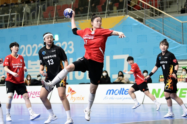 [단독]'프로화' 한국핸드볼연맹 설립, 최태원 회장 총재 겸직 예정