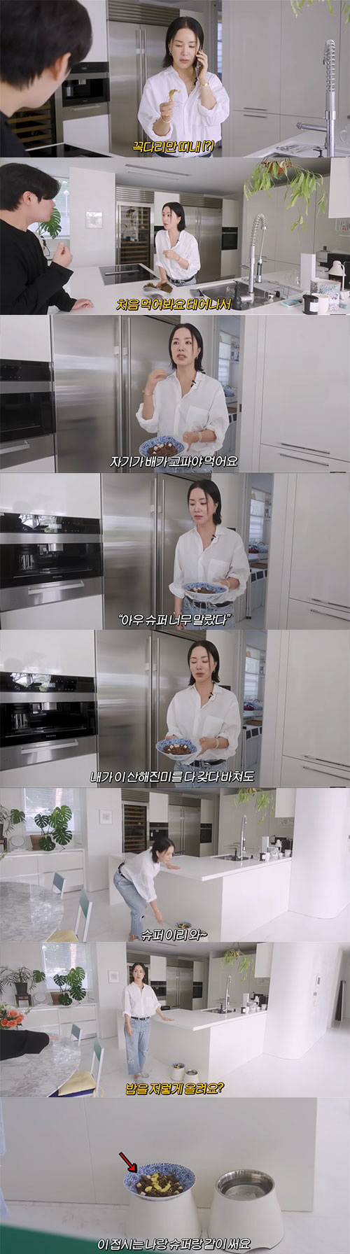 엄정화 "반려견과 같은 접시 사용...뭐 어때"(공부왕찐천재)