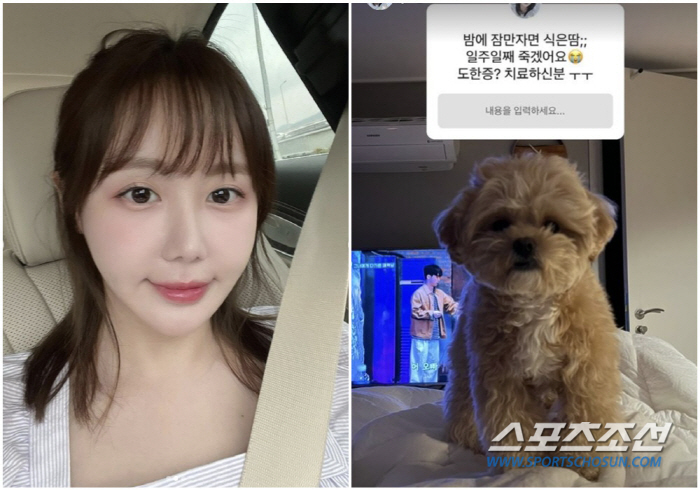 '코 성형' 이경규 딸 이예림, '도한증' 괴로움 토로…"치유해 보고 공…