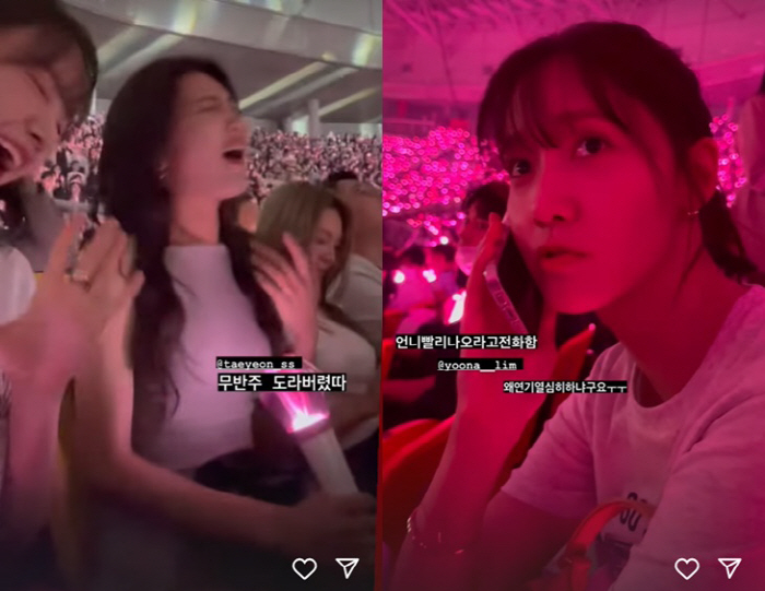 "무반주 돌았다" 수영X윤아, 태연 콘서트 제대로 즐겼다 '소시 우정★'