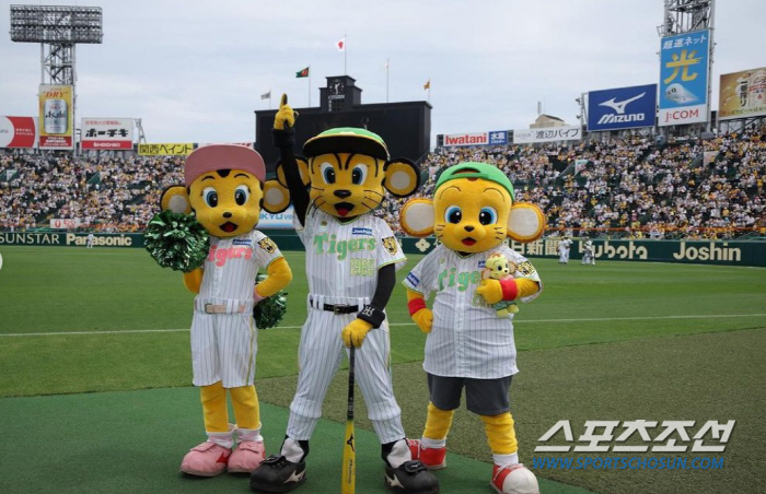 1위 질주 한신 고시엔구장 팬심 폭발, 4년 만에 평균관중 4만명대, 요…