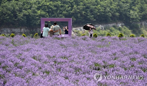[연합뉴스 자료사진]