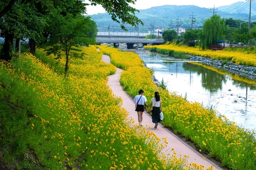 제천시 제공. 재판매 및 DB 금지